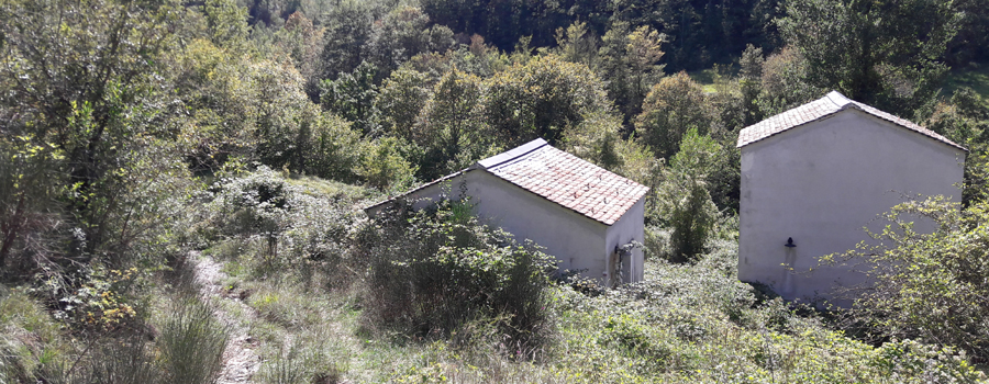 Alpe della Luna Sentiero 89 - immagine 10 (Ranco Fabbro)