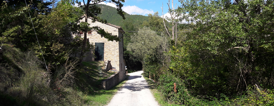 Alpe della Luna Sentiero 89 - immagine 12