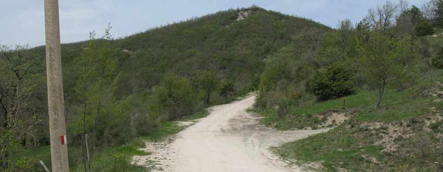 Alpe della Luna Sentiero 90 - immagine 2