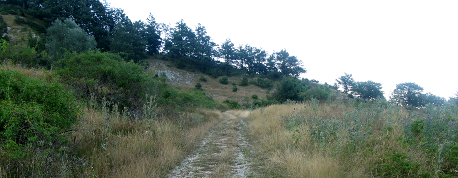 Alpe della Luna Sentiero 90 - immagine 12