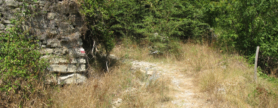 Alpe della Luna Sentiero 90bis - immagine 2