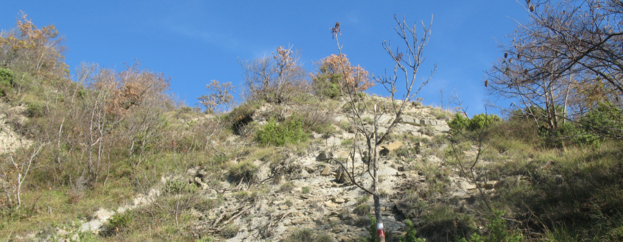 Alpe della Luna Sentiero 91 - immagine 7