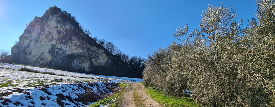 Parco Sasso Simone e Simoncello Sentiero 95 - immagine 1 (Pietracuta)