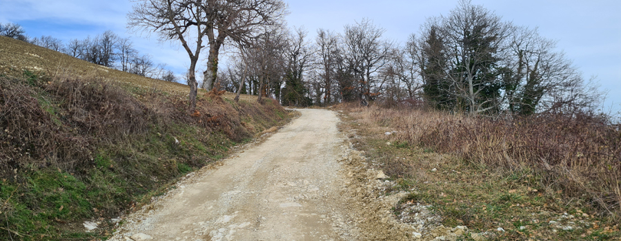 Parco Sasso Simone e Simoncello Sentiero 95 - immagine 5