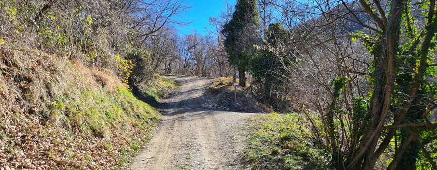 Parco Sasso Simone e Simoncello Sentiero 95 - immagine 6