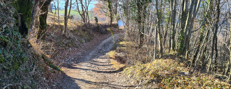 Parco Sasso Simone e Simoncello Sentiero 95 - immagine 7