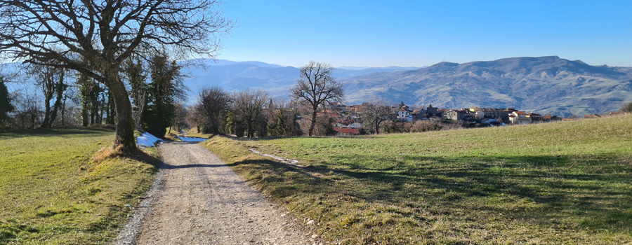Parco Sasso Simone e Simoncello Sentiero 95 - immagine 8 (Scavolino)