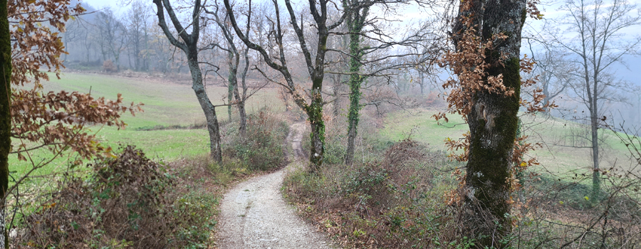 Parco Sasso Simone e Simoncello Sentiero 95 - immagine 9