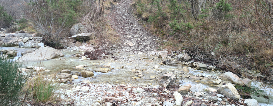 Parco Sasso Simone e Simoncello Sentiero 95 - immagine 10