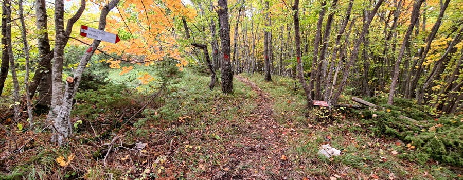 Parco Sasso Simone e Simoncello Sentiero 95 - immagine 12
