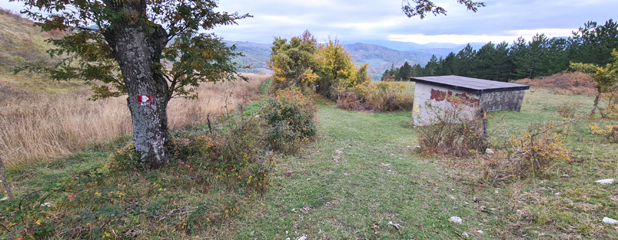 Parco Sasso Simone e Simoncello Sentiero 95 - immagine 13