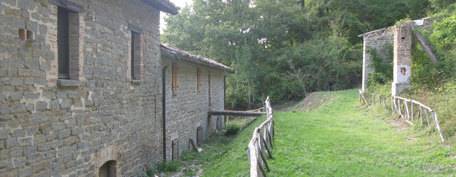 Bosco di Tecchie Sentiero del Cerro - immagine 5