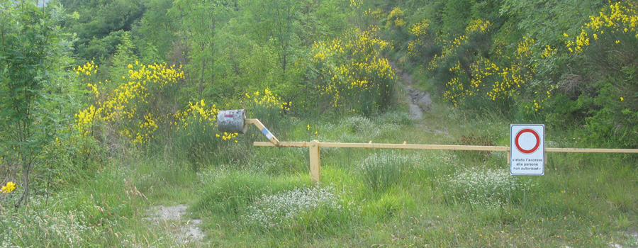 Bosco di Tecchie Sentiero della biodiversità - immagine 1