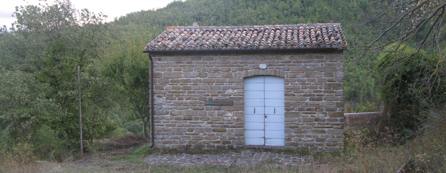 Bosco di Tecchie Sentiero della biodiversità - immagine 11 (Centro Visite Ca' Balbano di Sopra)