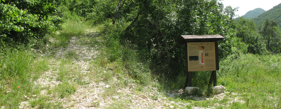Monte Petrano Sentiero delle Ammoniti - immagine 2