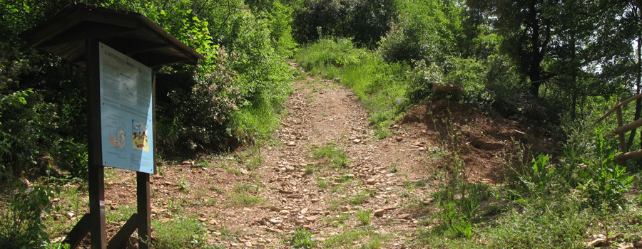 Monte Petrano Sentiero delle Ammoniti - immagine 3