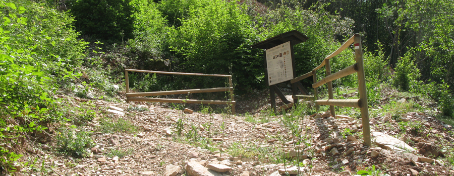 Monte Petrano Sentiero delle Ammoniti - immagine 4