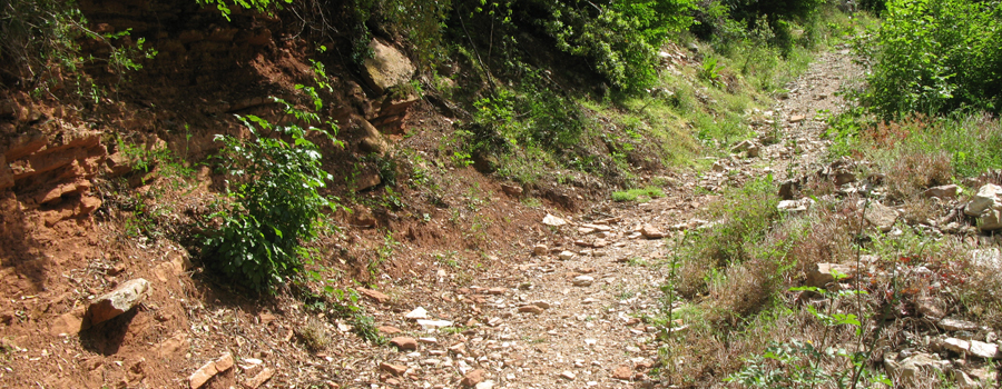 Monte Petrano Sentiero delle Ammoniti - immagine 5