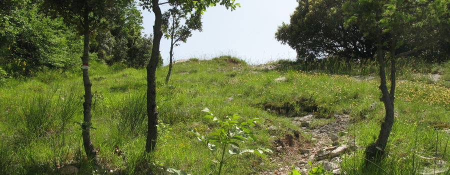 Monte Petrano Sentiero delle Ammoniti - immagine 6