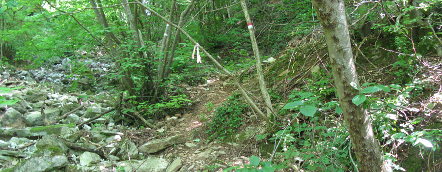 Monte Petrano Sentiero delle Ammoniti - immagine 9