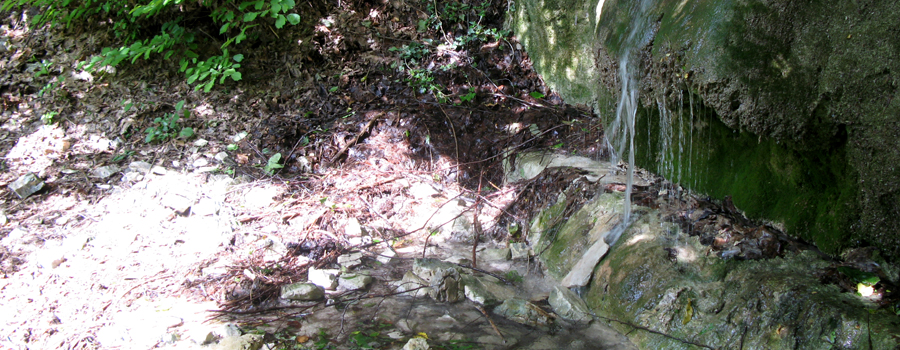Monte Petrano Sentiero delle Ammoniti - immagine 10 (Fonte dei Brusceti)
