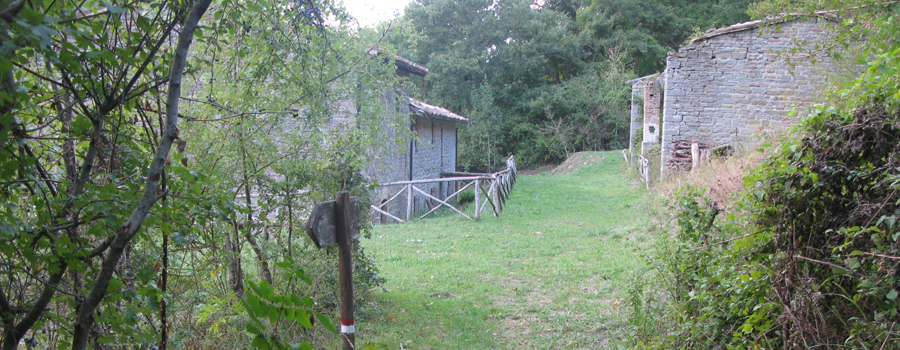 Bosco di Tecchie Sentiero delle Serre - immagine 10