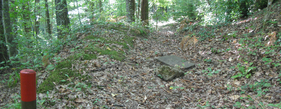 Bosco di Tecchie Sentiero didattico - immagine 1