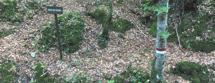 Bosco di Tecchie Sentiero didattico - immagine 6