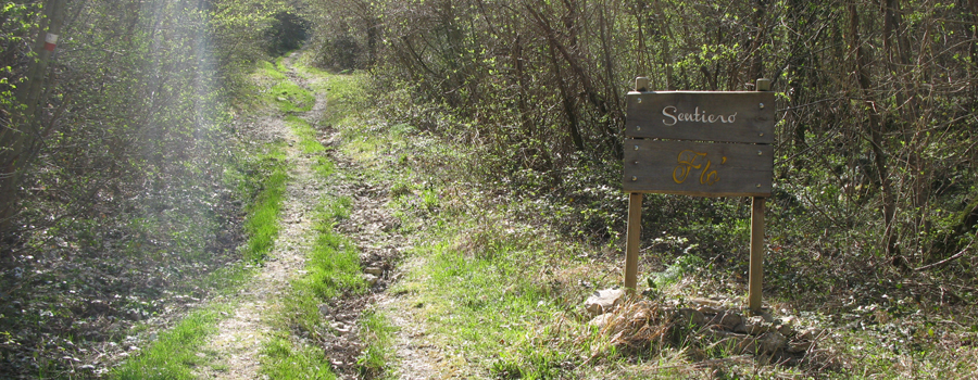 Monte Catria Sentiero Flò - immagine 1