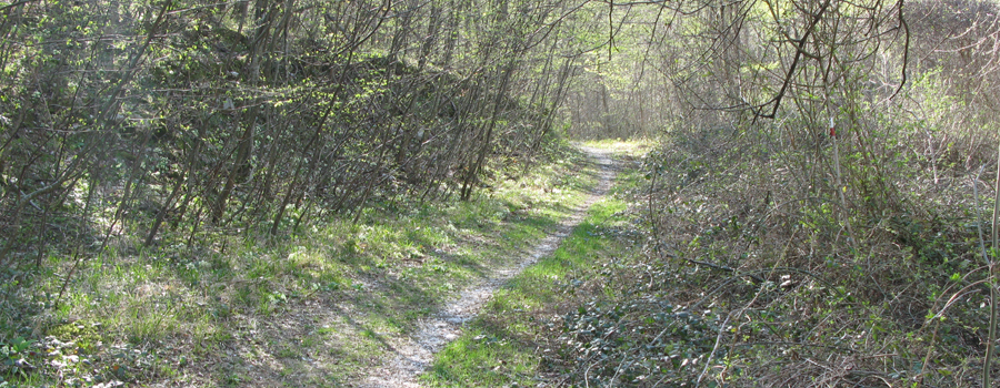 Monte Catria Sentiero Flò - immagine 2