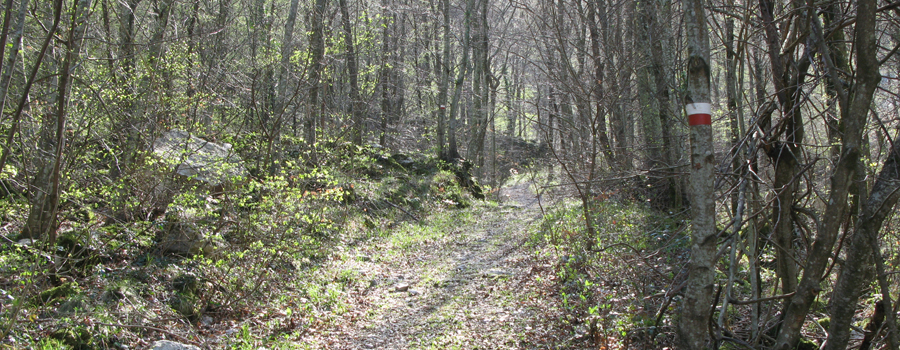 Monte Catria Sentiero Flò - immagine 3