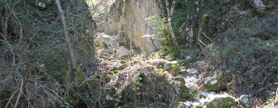 Monte Catria Sentiero Flò - immagine 4