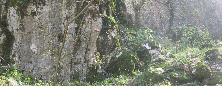 Monte Catria Sentiero Flò - immagine 6