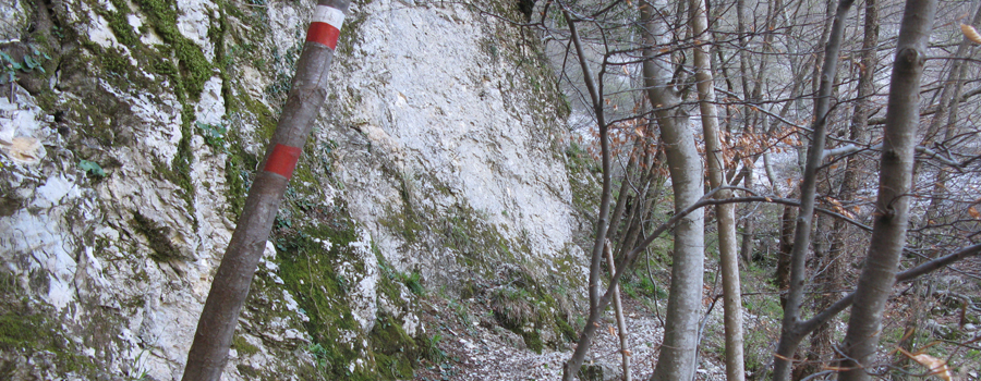 Monte Catria Sentiero Flò - immagine 7