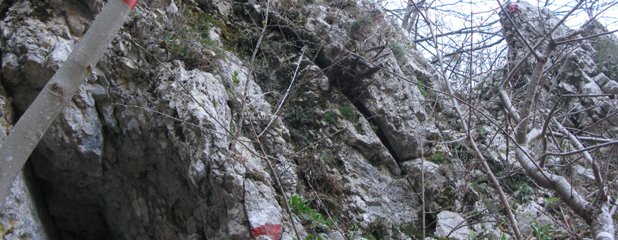 Monte Catria Sentiero Flò - immagine 10