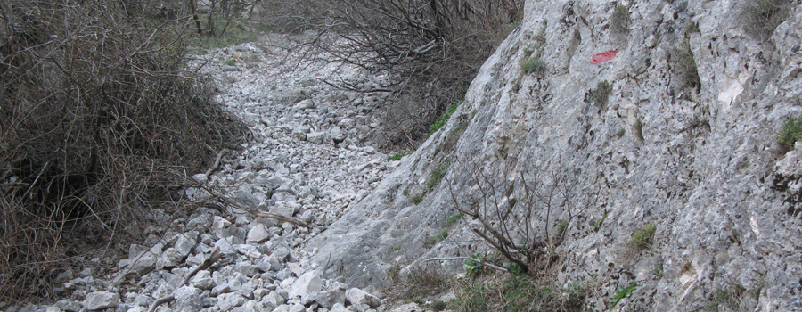 Monte Catria Sentiero Flò - immagine 11