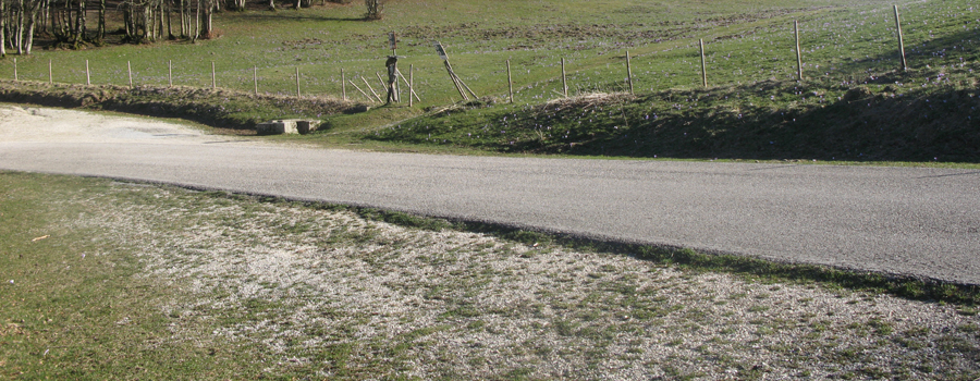 Monte Catria Sentiero Flò - immagine 14