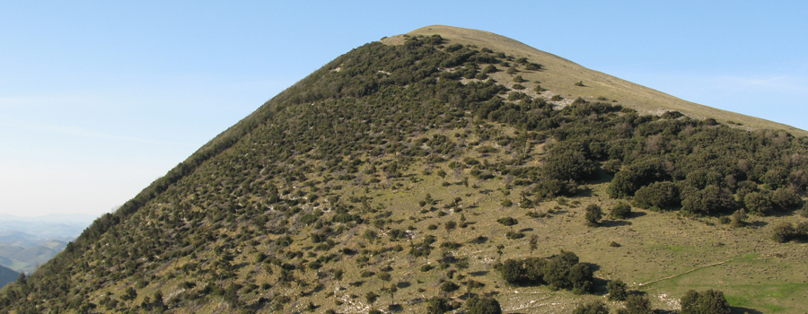 Monte Catria Sentiero Frassati - immagine 1