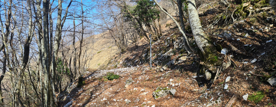 Monte Catria Sentiero Frassati - immagine 7