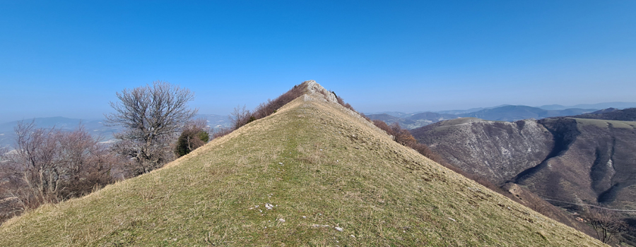 Monte Catria Sentiero Frassati - immagine 9 (Monte Schioppettino)