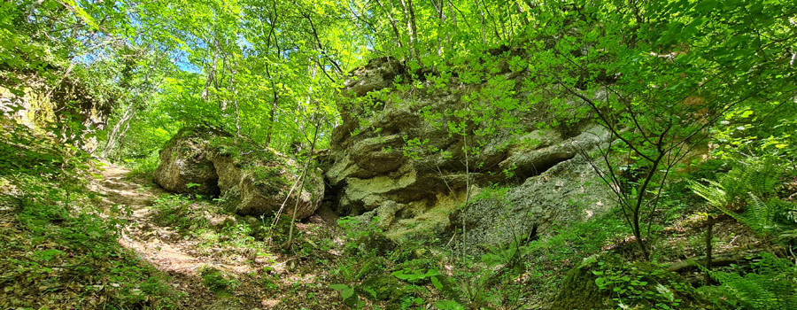 Monte Catria Sentiero Frassati - immagine 12