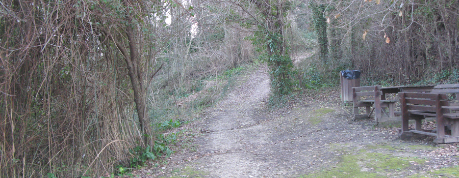 Parco Monte San Bartolo Sentiero Natura - immagine 2