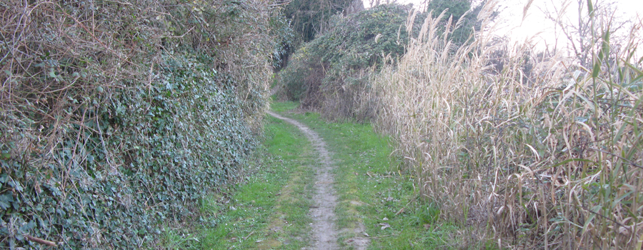 Parco Monte San Bartolo Sentiero Natura - immagine 3