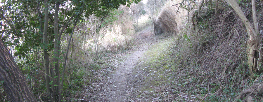 Parco Monte San Bartolo Sentiero Natura - immagine 4