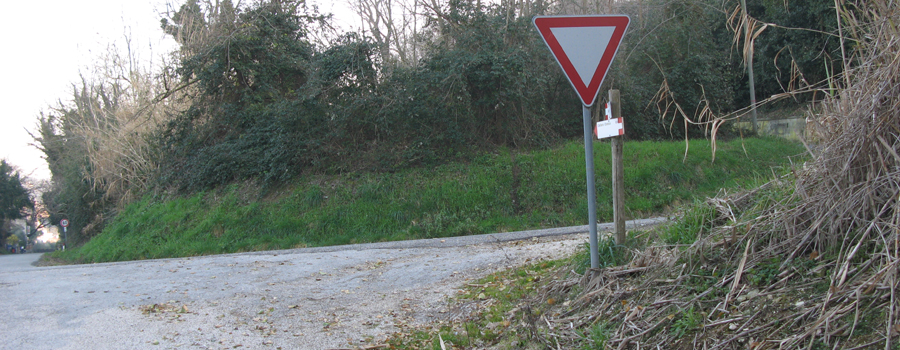 Parco Monte San Bartolo Sentiero Natura - immagine 5
