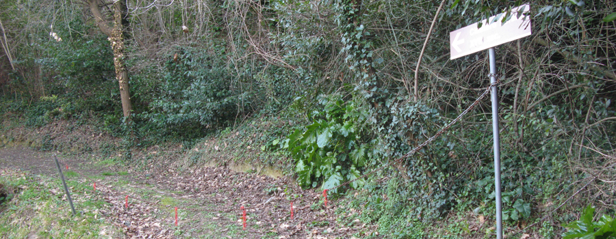Parco Monte San Bartolo Sentiero Natura - immagine 7
