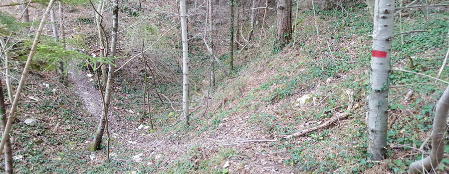 Monti delle Cesane Sentiero Regina B - immagine 2