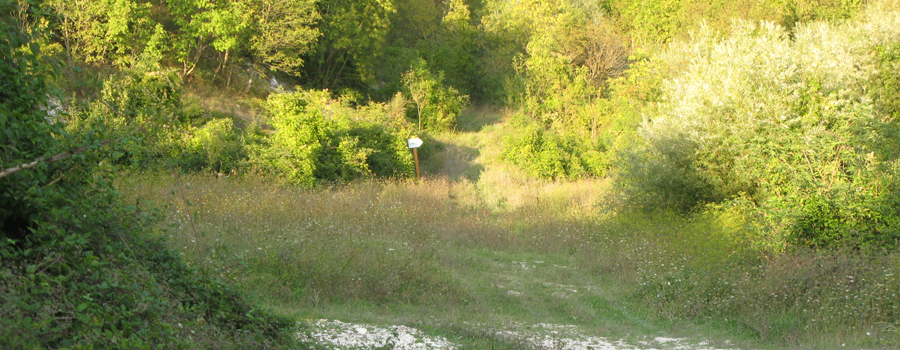Monte Catria Sentiero Vinci - immagine 2
