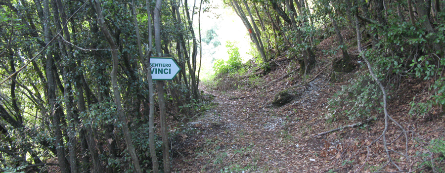 Monte Catria Sentiero Vinci - immagine 6