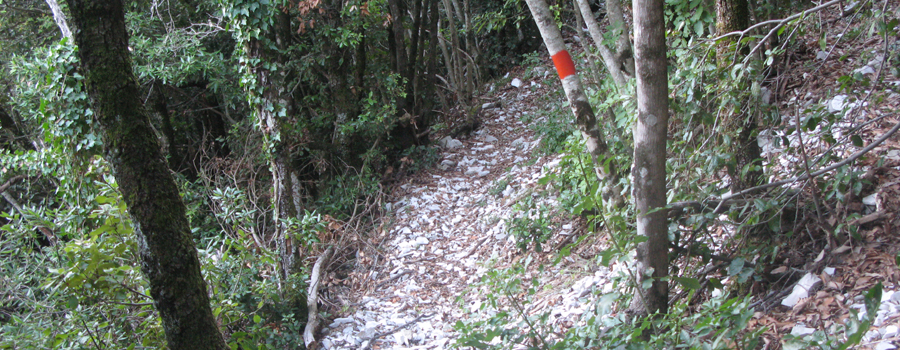 Monte Catria Sentiero Vinci - immagine 8